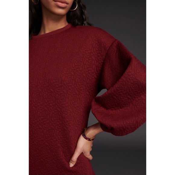 NWT ANTHROPOLOGIE MARE MARE ODILA TUNIC DRESS IN WINE - Picture 4 of 9